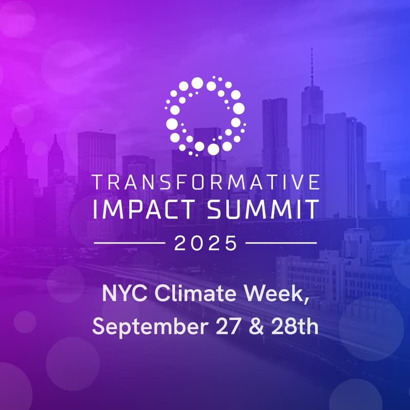 Cover Image for Transformative Impact Summit NYC