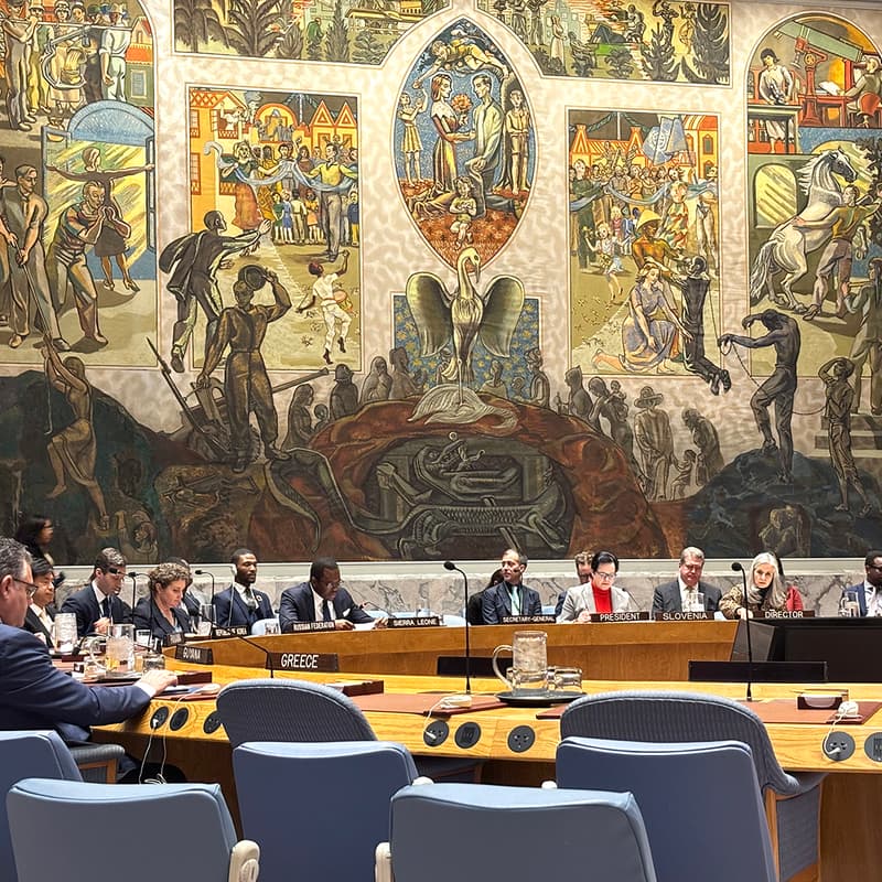 Cover Image for Kan Danmark gøre en forskel i FN’s Sikkerhedsråd?