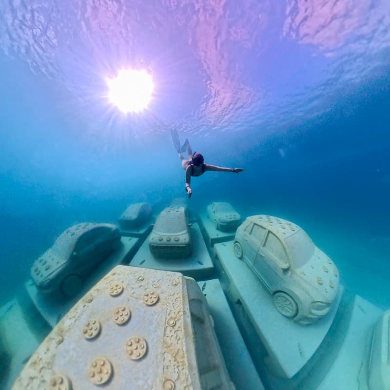 Cover Image for REEFLINE ART & SCIENCE DIVES | Dec 3rd