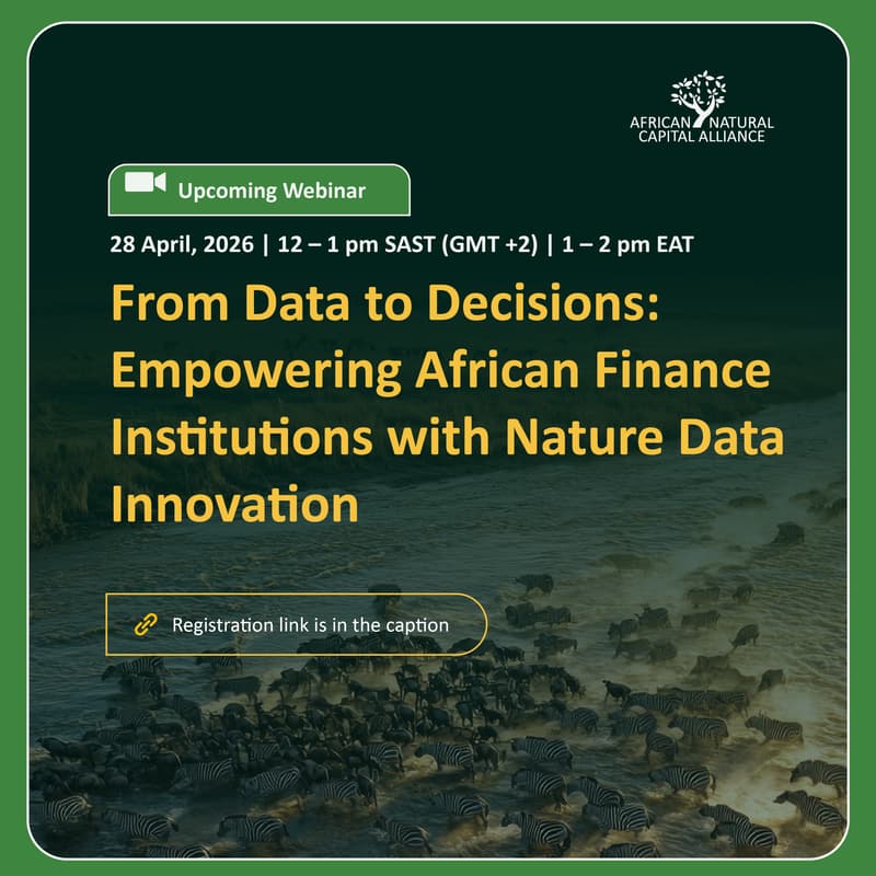 Cover Image for Empowering African Finance Institutions with Nature Data Innovation