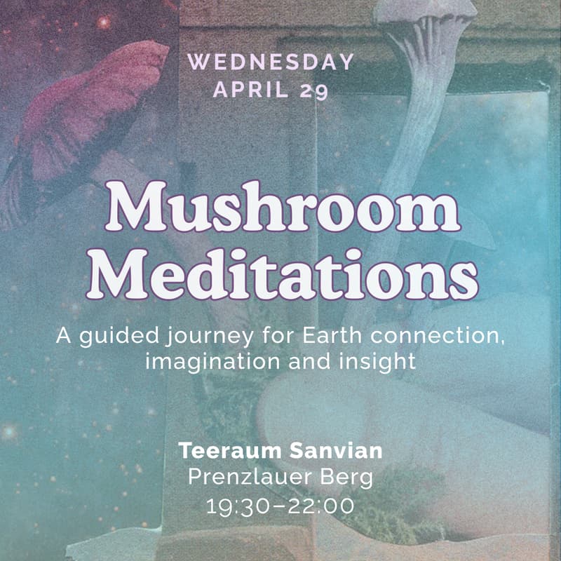 Cover Image for Mushroom Meditations: A guided journey for Earth connection, imagination and insight