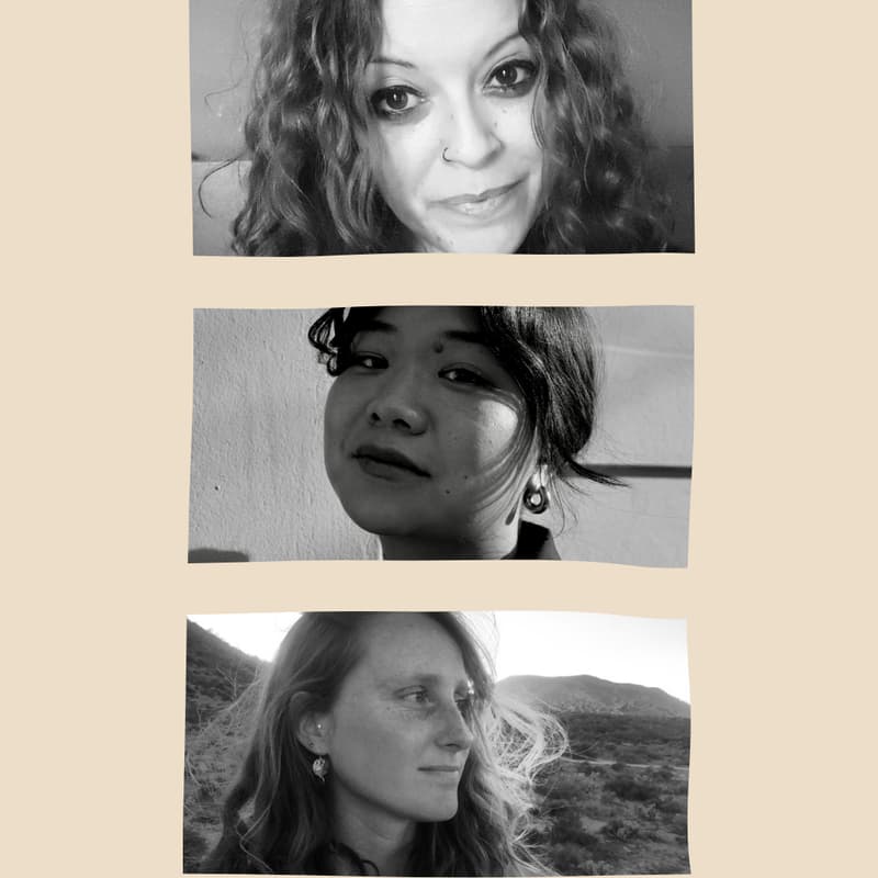 Cover Image for The Living Room: April Chat