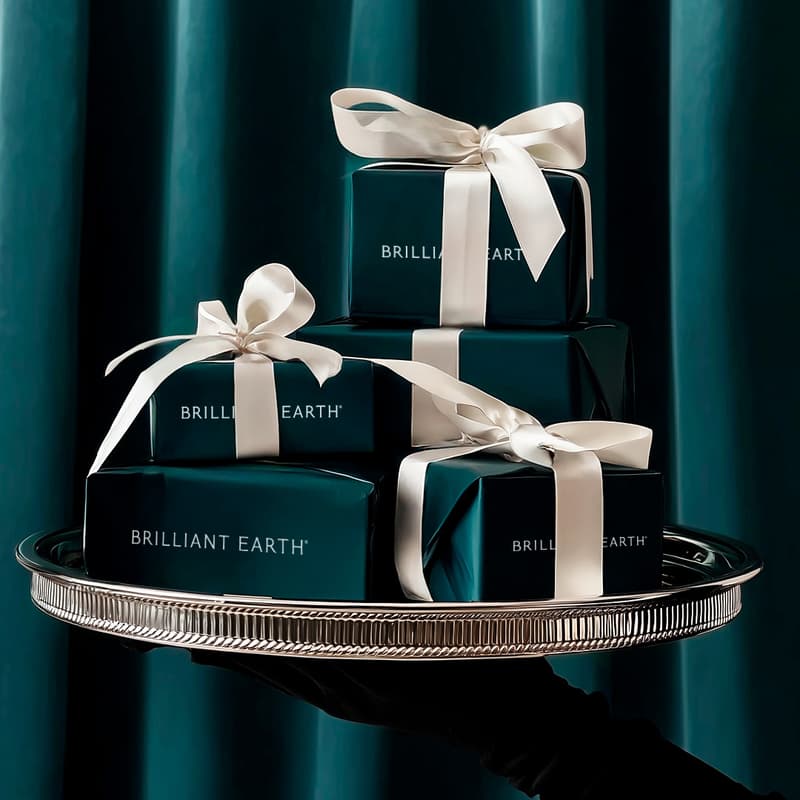 Cover Image for Holiday Trunk Show