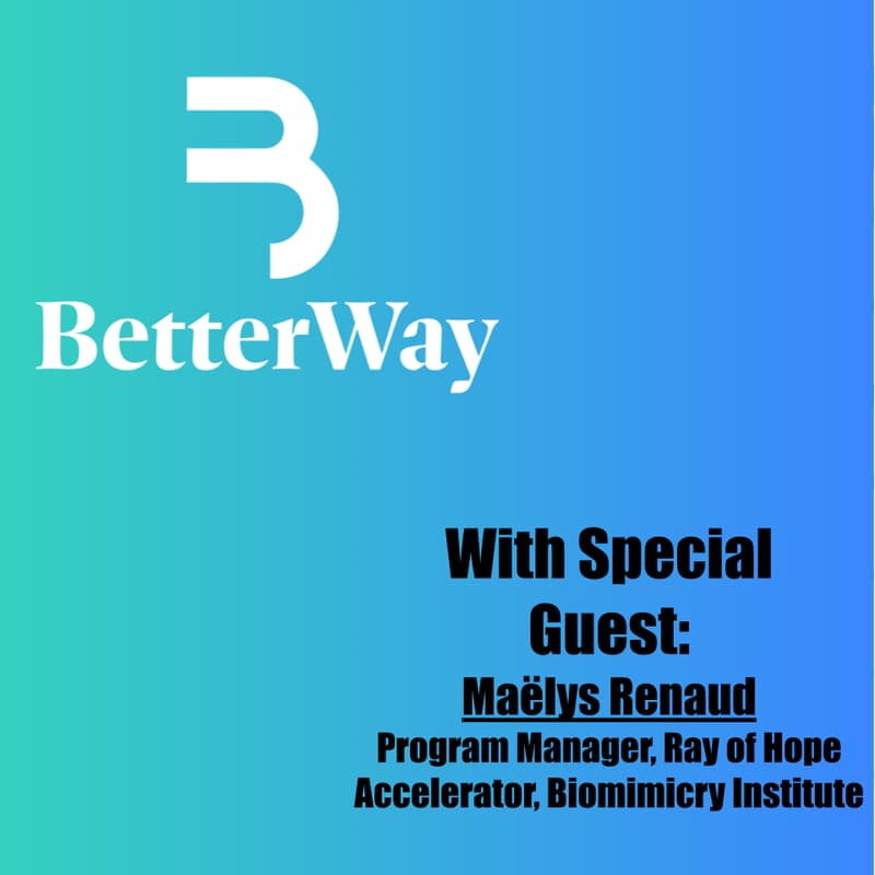 Cover Image for Industrial Sustainability Series: Biomimicry