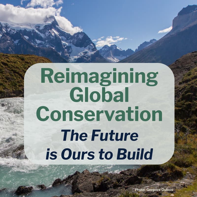 Cover Image for The Future Is Ours to Build: Reimagining U.S. Leadership in Global Conservation