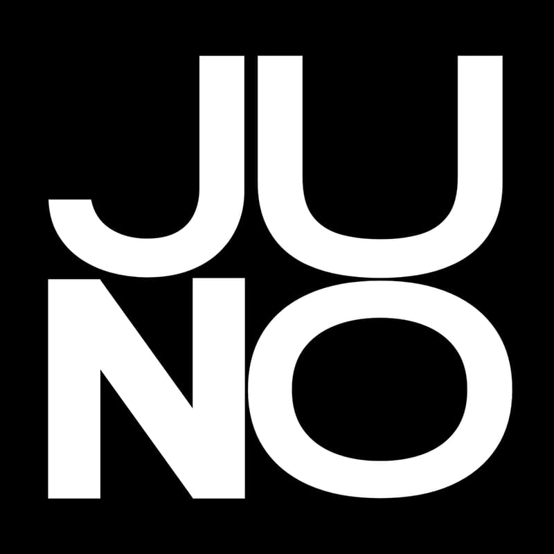 Cover Image for Meet Juno