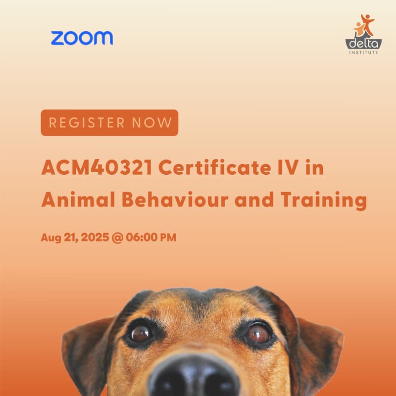 Cover Image for Turn Your Love for Dogs into a Career • Free Zoom Info Session • ACM40322