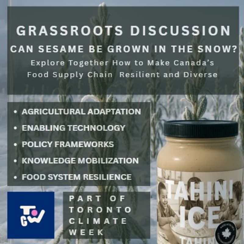 Cover Image for Tahini Ice: Growing Food and Building Resilience in a Changing Climate