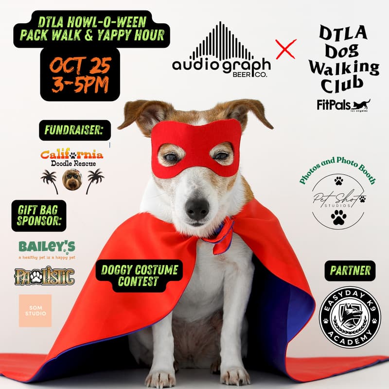 Cover Image for Howl-O-Ween Pack walk and Yappy Hour Fundraiser