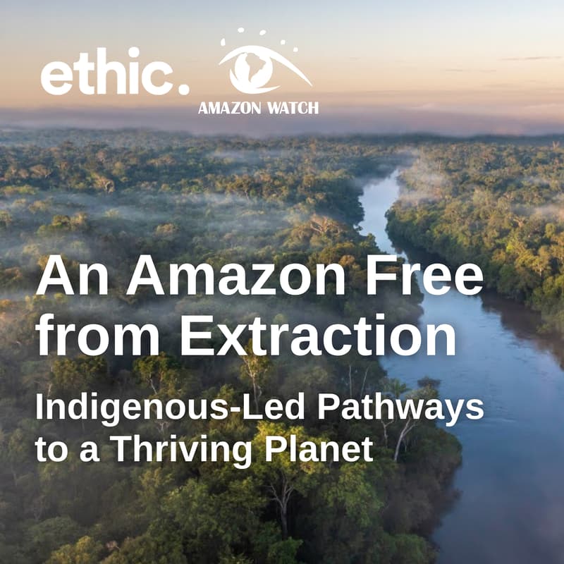 Cover Image for An Amazon Free from Extraction: Indigenous-Led Pathways to a Thriving Planet