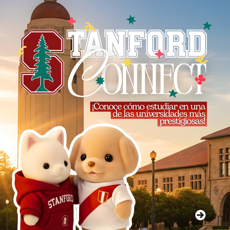 Cover Image for STANFORD CONNECT
