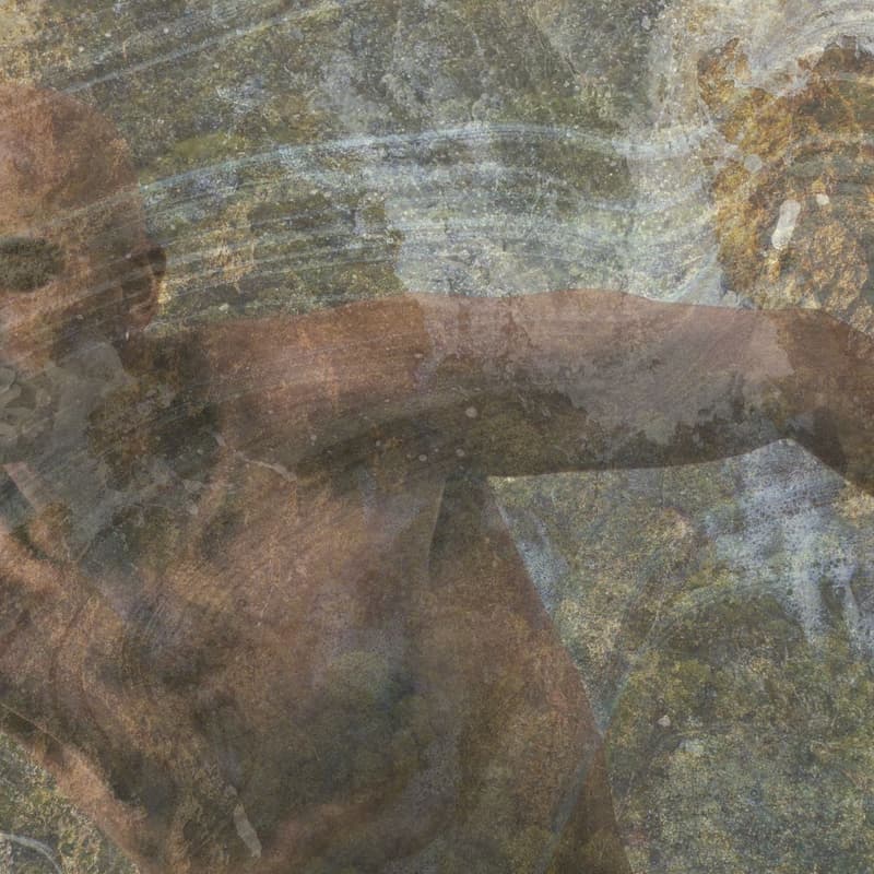 Cover Image for Ecologies in Motion