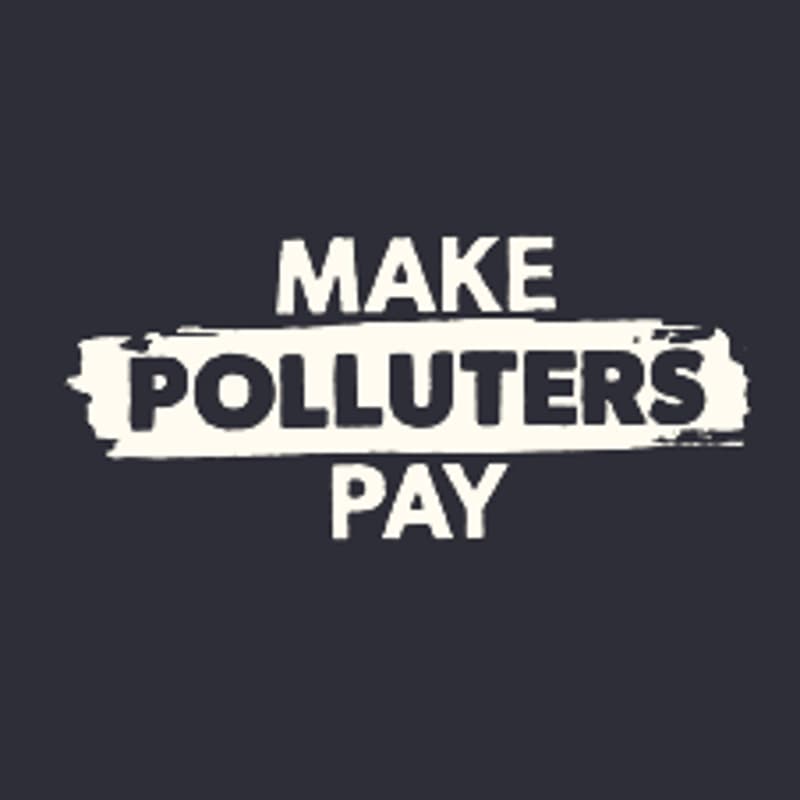 Cover Image for Make Polluters Pay x Public Citizen Creator Briefing