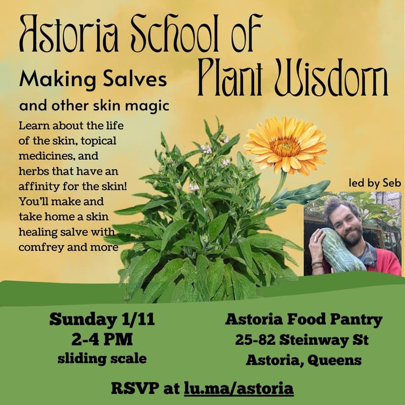 Cover Image for Making Salves (and other skin magic)