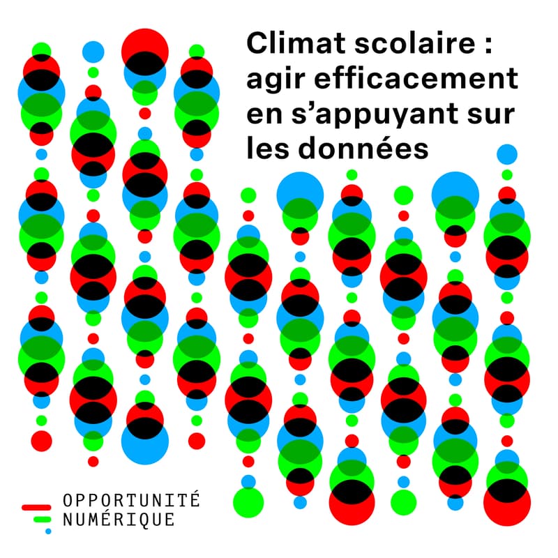Cover Image for Conférence-apéritif avec la Prof. Ariane Baye. Climat scolaire : agir efficacement en s’appuyant sur les données