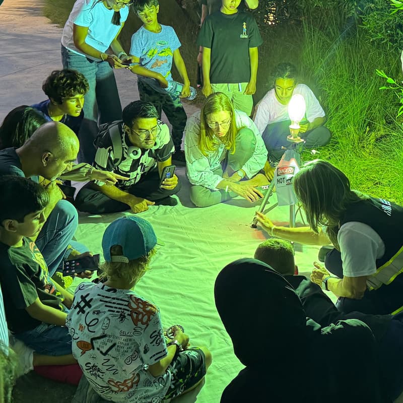 Cover Image for Insect Light Trapping-رصد الحشرات بالضوء