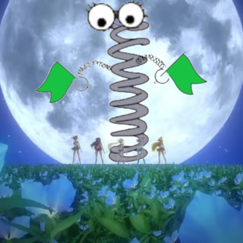 Cover Image for Spring-a-ling: Twilight Walk