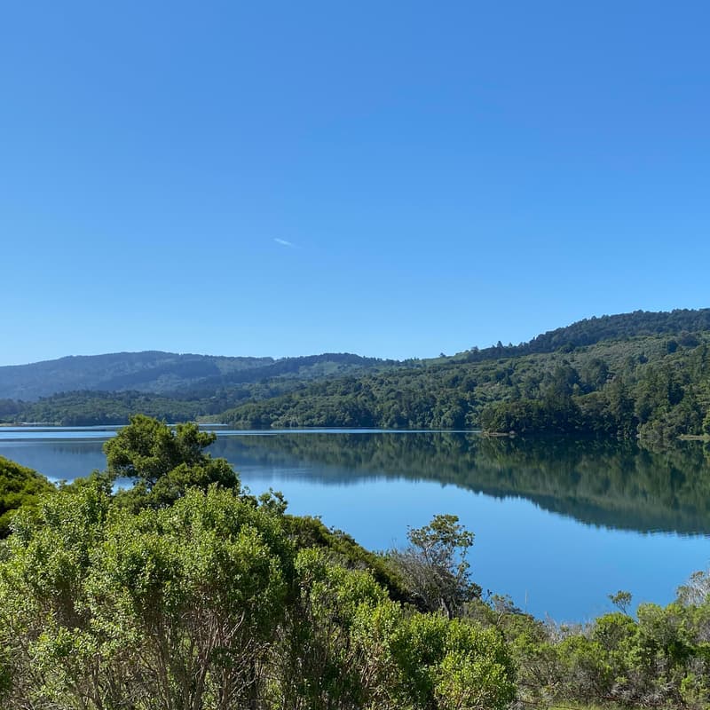 Cover Image for Walk+Network(San Mateo)