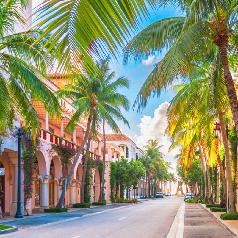 Cover Image for Visionary Access: Palm Beach April 20-22 Investor Event