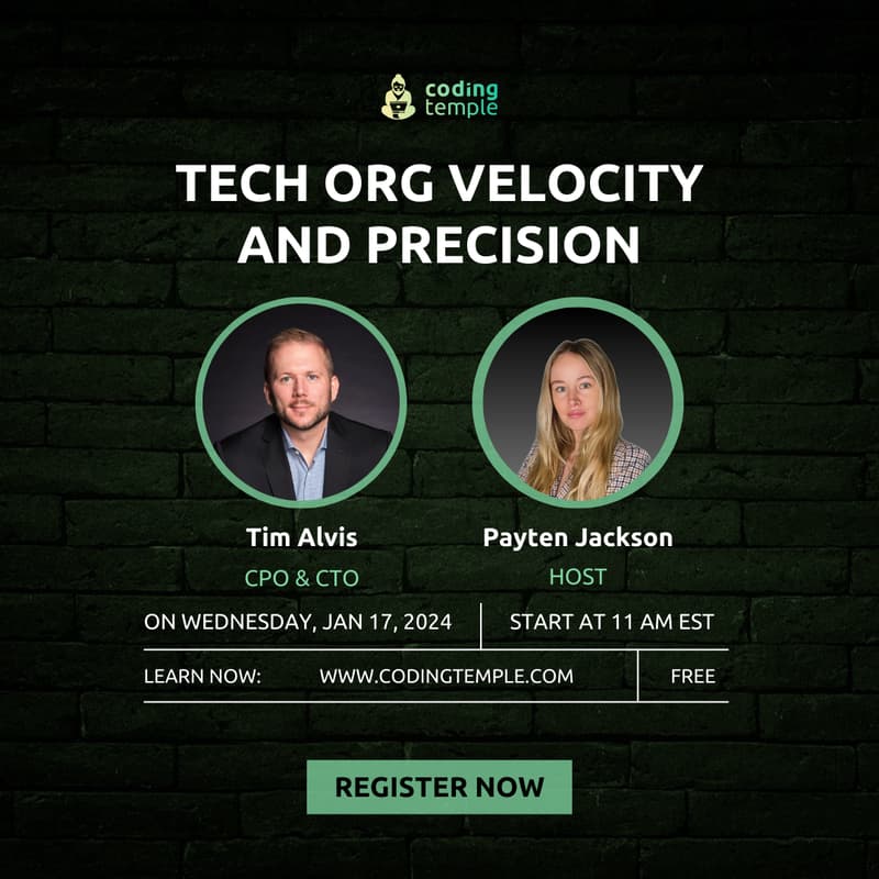 Cover Image for Tech Org Velocity and Precision