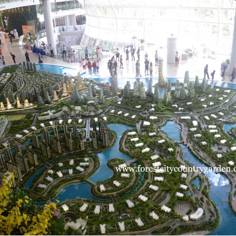 Cover Image for How to Vibe Code Tools to Model Forest City for Rainfall and Runoff