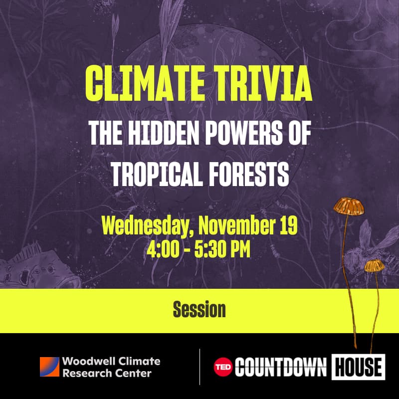 Cover Image for Climate Trivia: The hidden powers of tropical forests