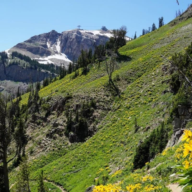 Cover Image for Unwind on the Trail – Hike with PC + Friends
