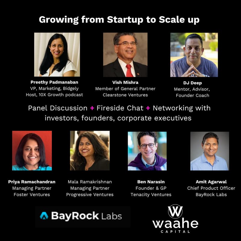 Cover Image for Growing from Startup to Scale up