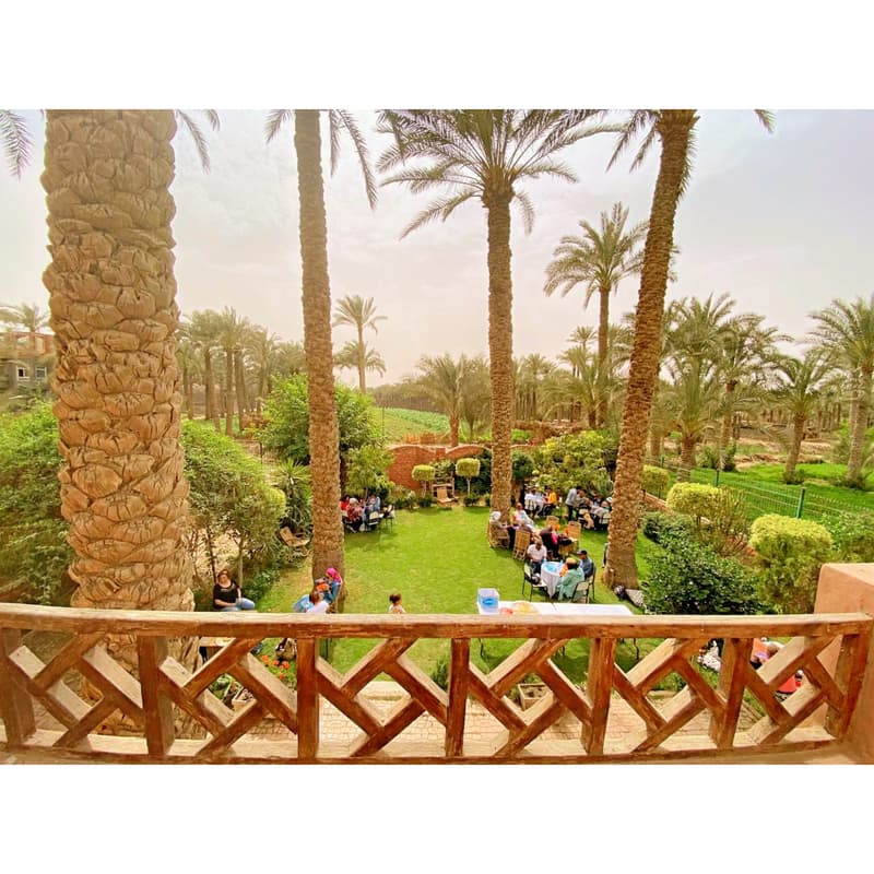 Cover Image for إفطار ريف دهشور 🌿 رمضان بيجمع لمتنا 🌙 - Ramadan in Dahshur