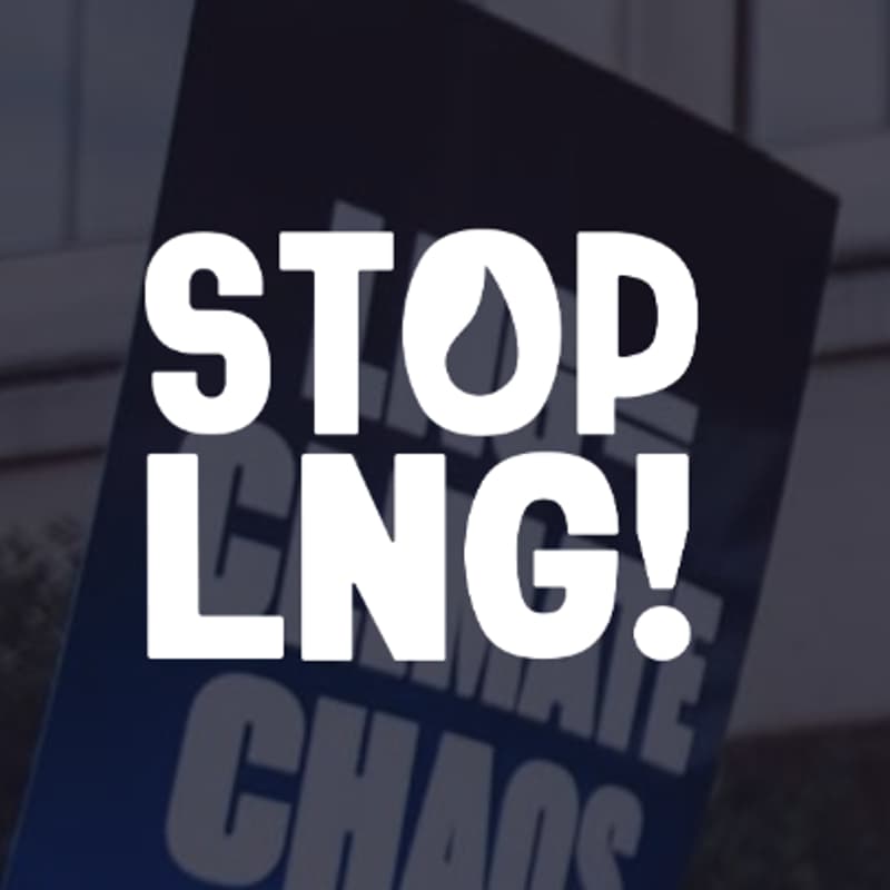 Cover Image for #StopLNG Party!