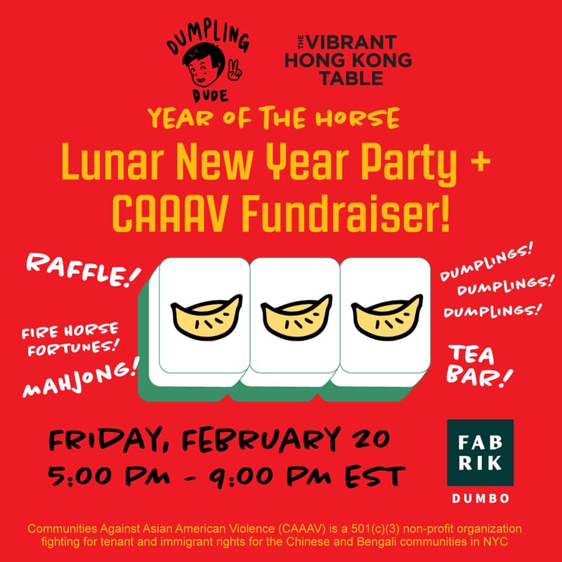 Cover Image for Lunar New Year Party & CAAAV Fundraiser!