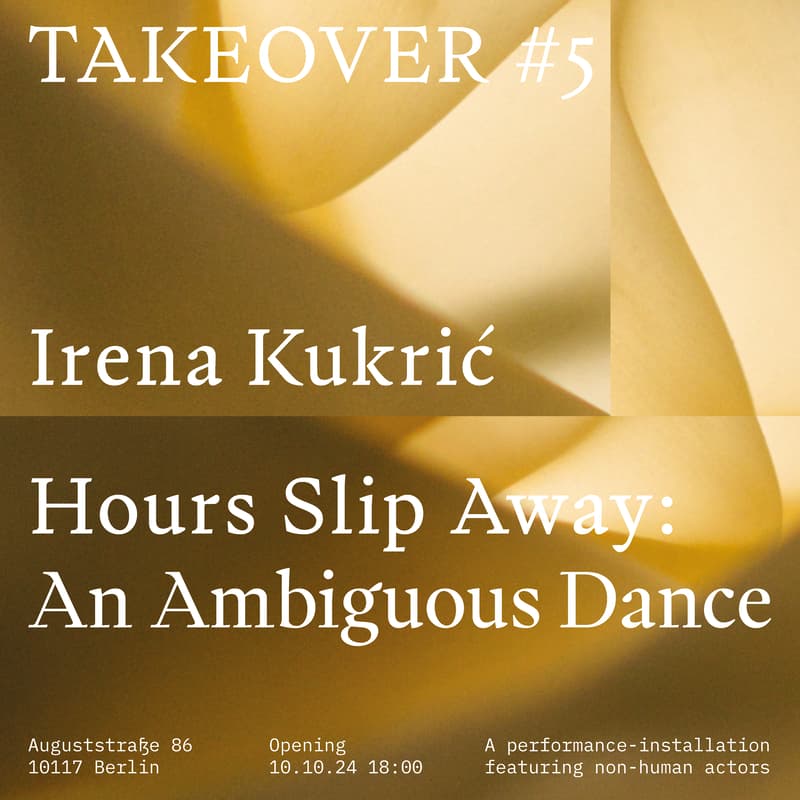 Cover Image for Hours Slip Away: An Ambiguous Dance – TAKEOVER #5