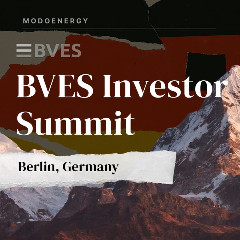 Cover Image for ATTENDING: BVES Investor Summit Europe 2025