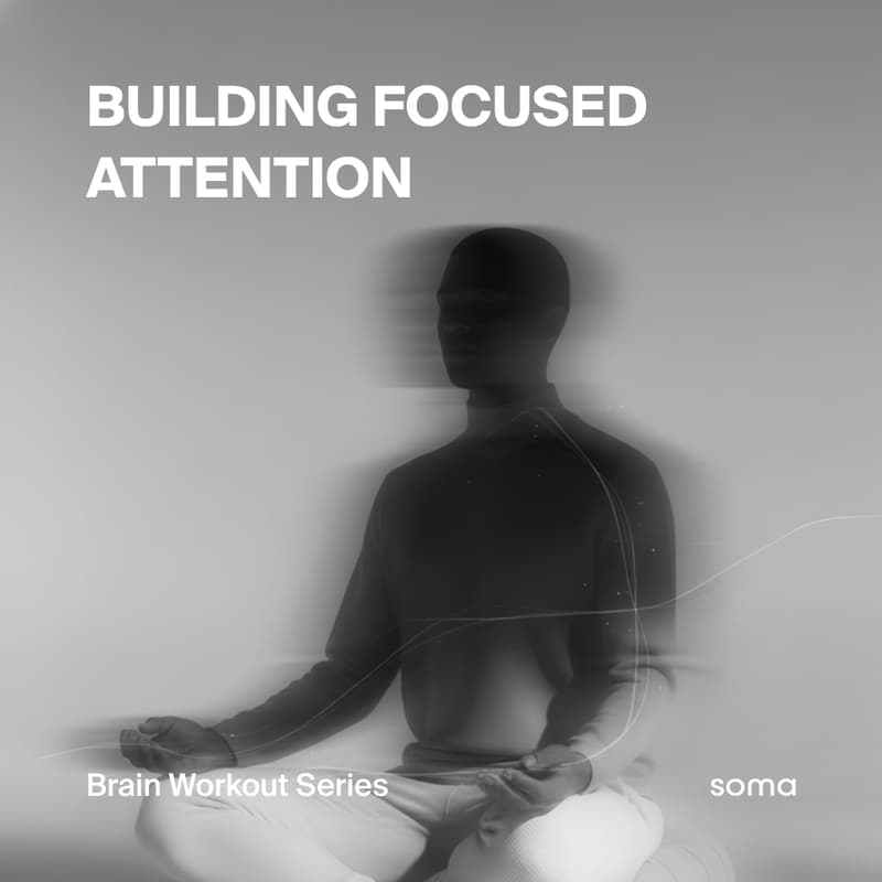 Cover Image for Building Focused Attention: Brain Workout Series