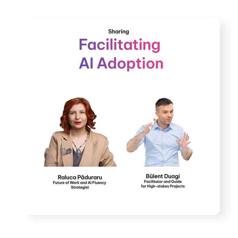 Cover Image for "Facilitating AI Adoption" in a nutshell