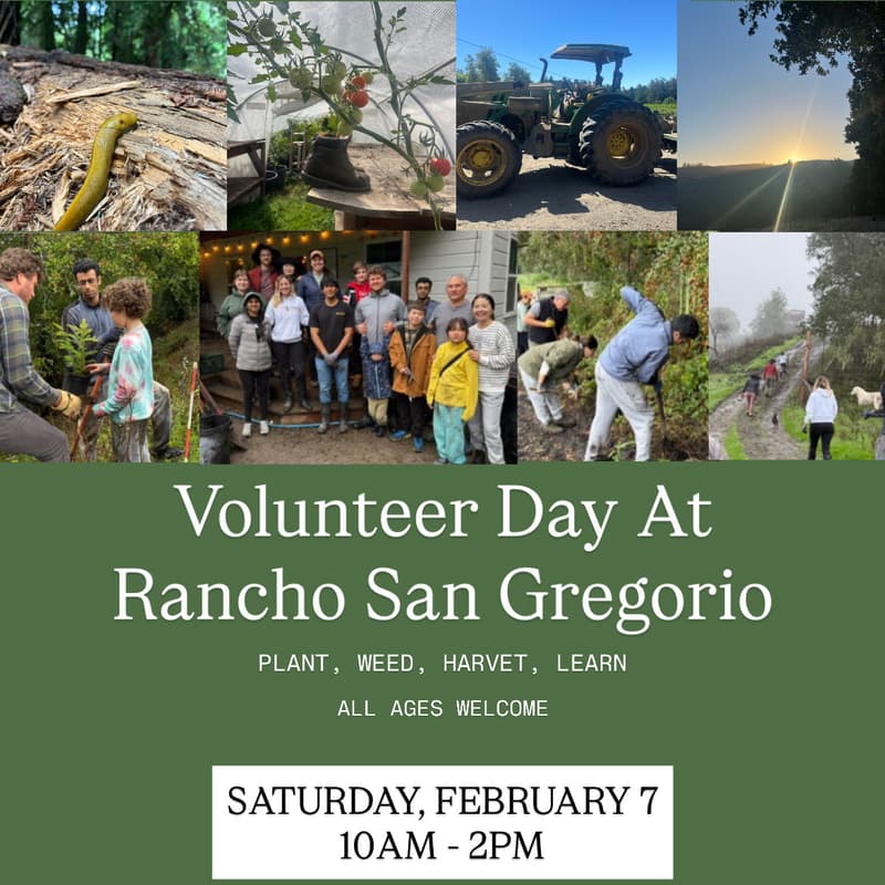 Cover Image for Volunteer Day At Rancho San Gregorio 🌱