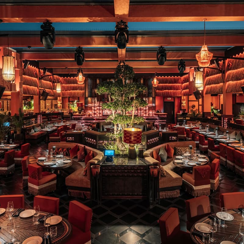 Cover Image for Fluidity SCALE x DINNER & DISCO | DUBAI