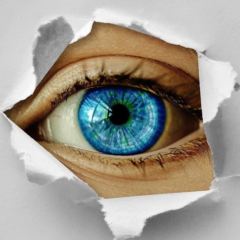 Cover Image for Superkompetenz 2: Tiefenwahrnehmung und Synergie sehen.