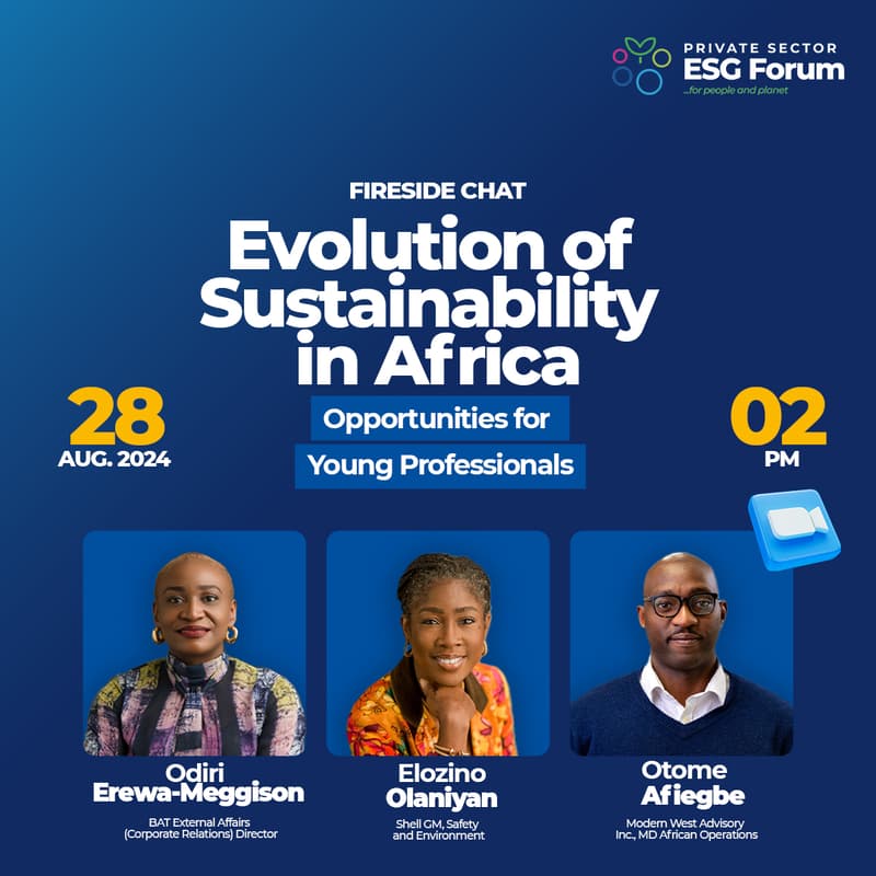 Cover Image for Evolution of Sustainability in Africa- Opportunities for Young Professionals