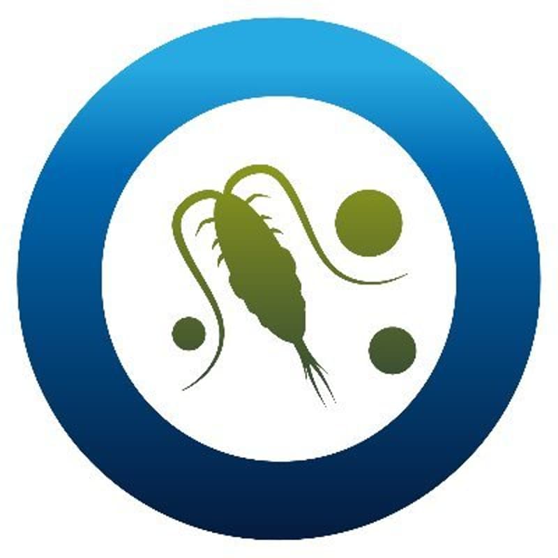 Cover Image for The Oceans as a Climate Hero