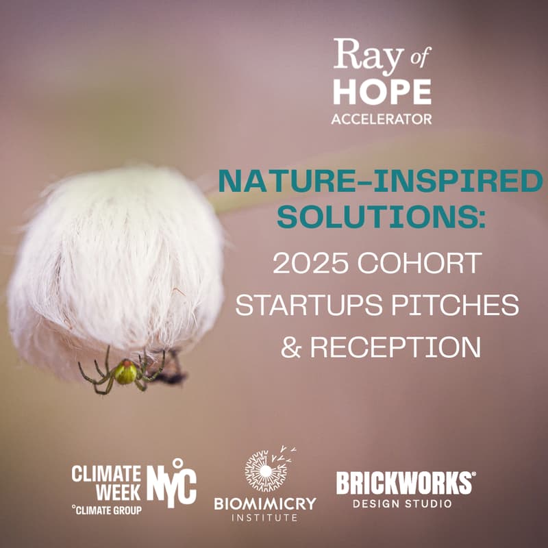 Cover Image for Nature-inspired Solutions: 2025 Cohort Startups Pitches & Reception