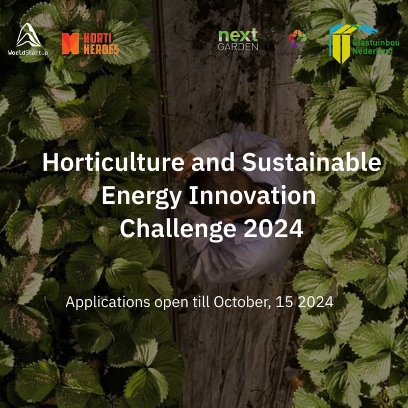Cover Image for Deep Dive: Horticulture and Sustainable Energy Innovation Challenge 2024
