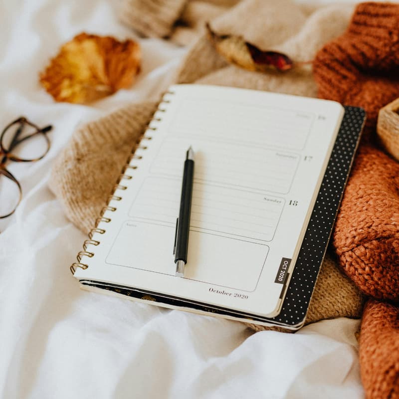 Cover Image for The Pause Collective - Session 6