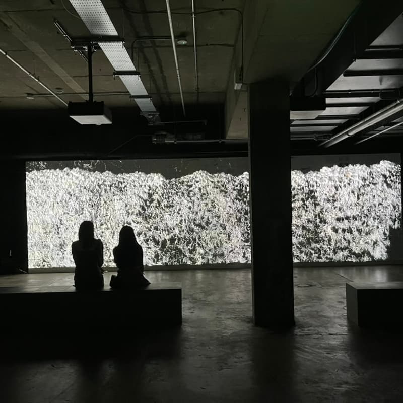 Cover Image for Signals of Change: 100 inspiring voices