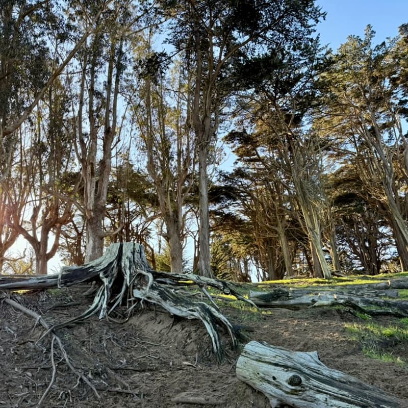 Cover Image for stop & be: March Meetup
