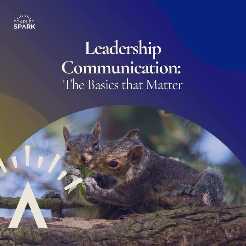 Cover Image for Leader Communication: The Basics that Matter