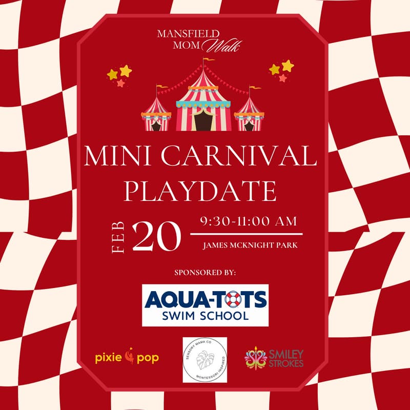 Cover Image for Mini Carnival