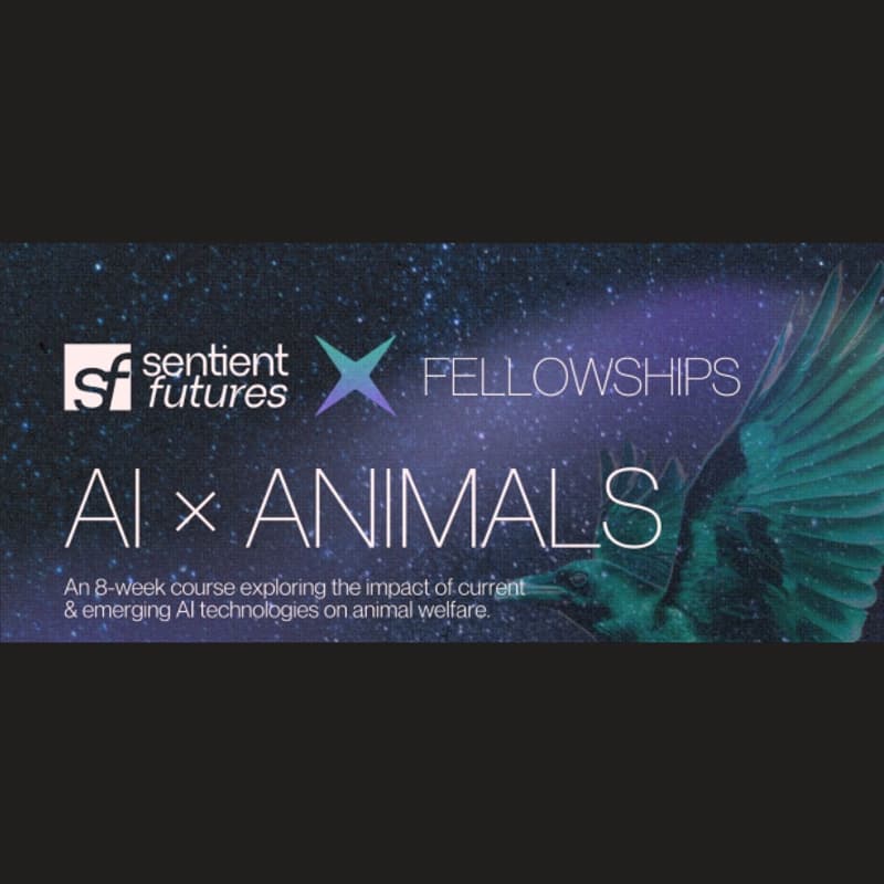 Cover Image for AI x Animal Welfare intersection