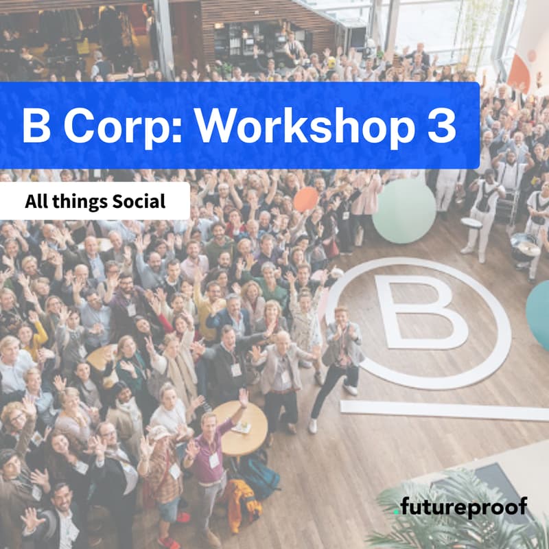 Cover Image for B Corp: All things Social