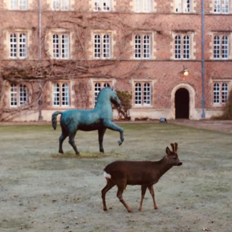 Cover Image for Jesus College Sustainable Gardens Tour